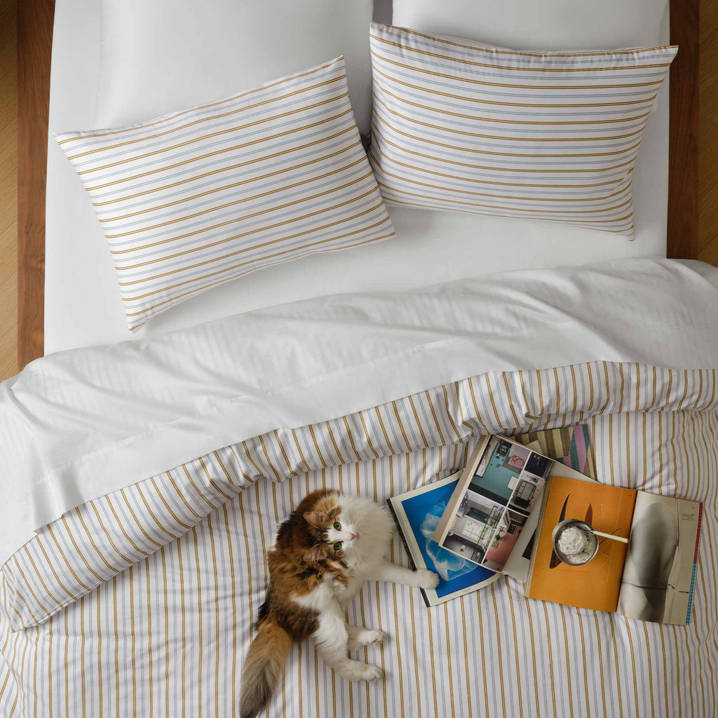 Set of 2 Luxe Sateen Core Sheet Set Bundle