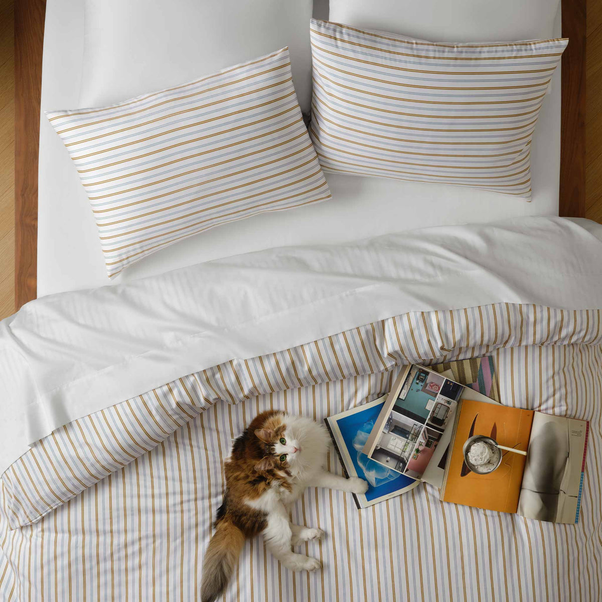 Set of 2 Luxe Sateen Core Sheet Set Bundle